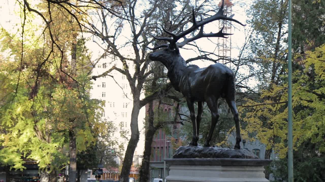 slow pan showing the Elk Statue in Portland Oregon.