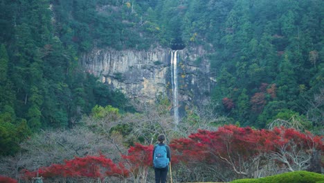 cámara lenta, la persona se para frente a la cascada rodeada de bosque, japón