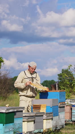 hard-working apiarist takes the frames out of the hive and shakes off the bees sitting on them. man piles the frames near the hive. nature backdrop. vertical video