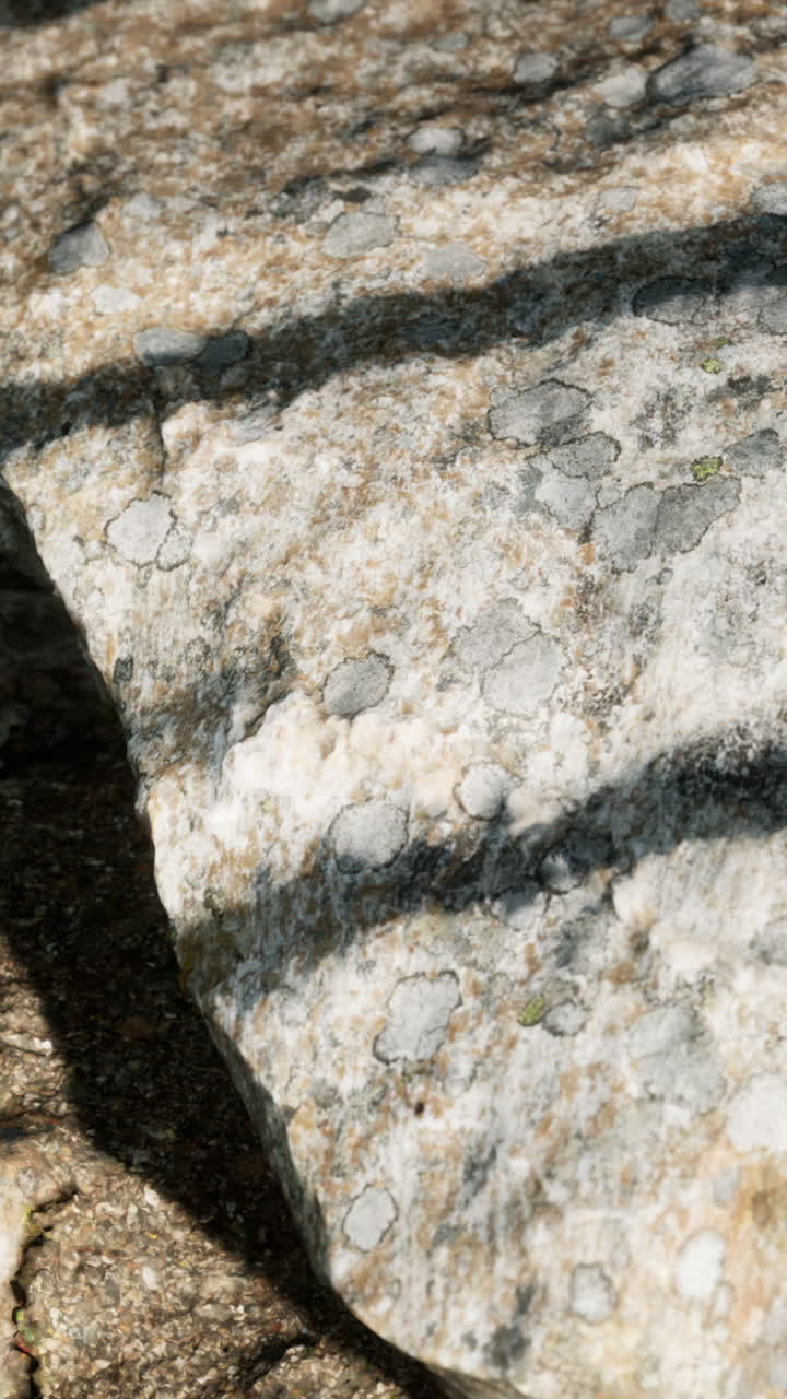 primer plano de la roca cubierta de líquenes