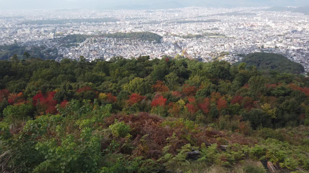 Japan Kyoto City in Autumn: Wide Aerial Panorama from Daimonji Hills
