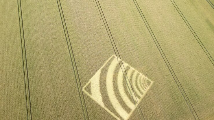 Aerial view looking down over geometric wave crop square pattern in Micheldever, Hampshire golden wheat farmland 2023