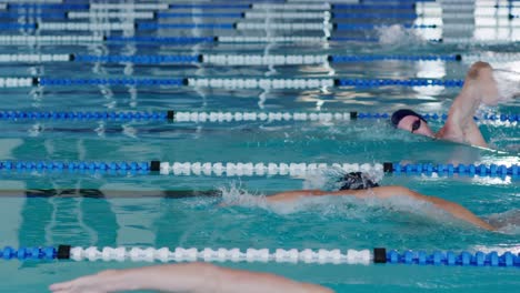 Swimmers-swimming-on-the-pool