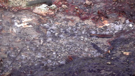 Water-bubbles-and-boils-on-sizzling-hot-geothermal-rocks-in-slow-motion