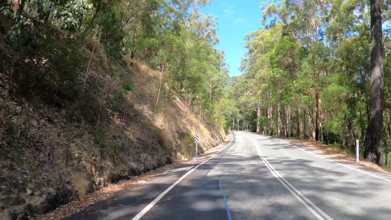 울창 한 푸른 숲 을 가로질러 휘어지는 길