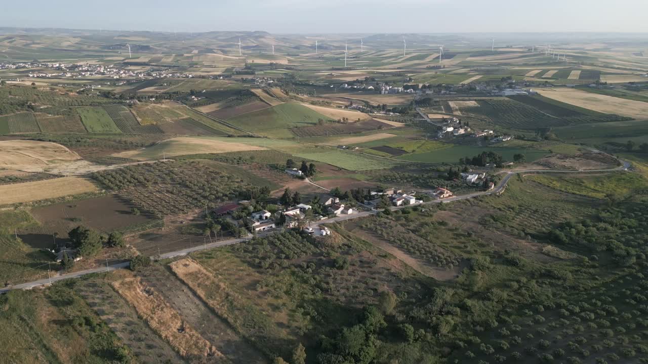 Sicily Italy olive tree plantation for olive oil production hills landscape with wind turbine at distance aerial