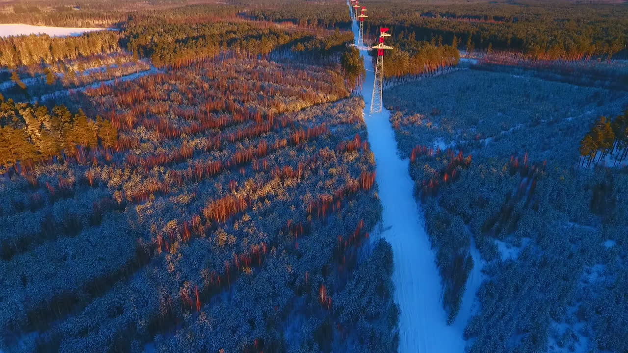 숲에 있는 고전압 전기 철탑. 전력선. 에너지 산업
