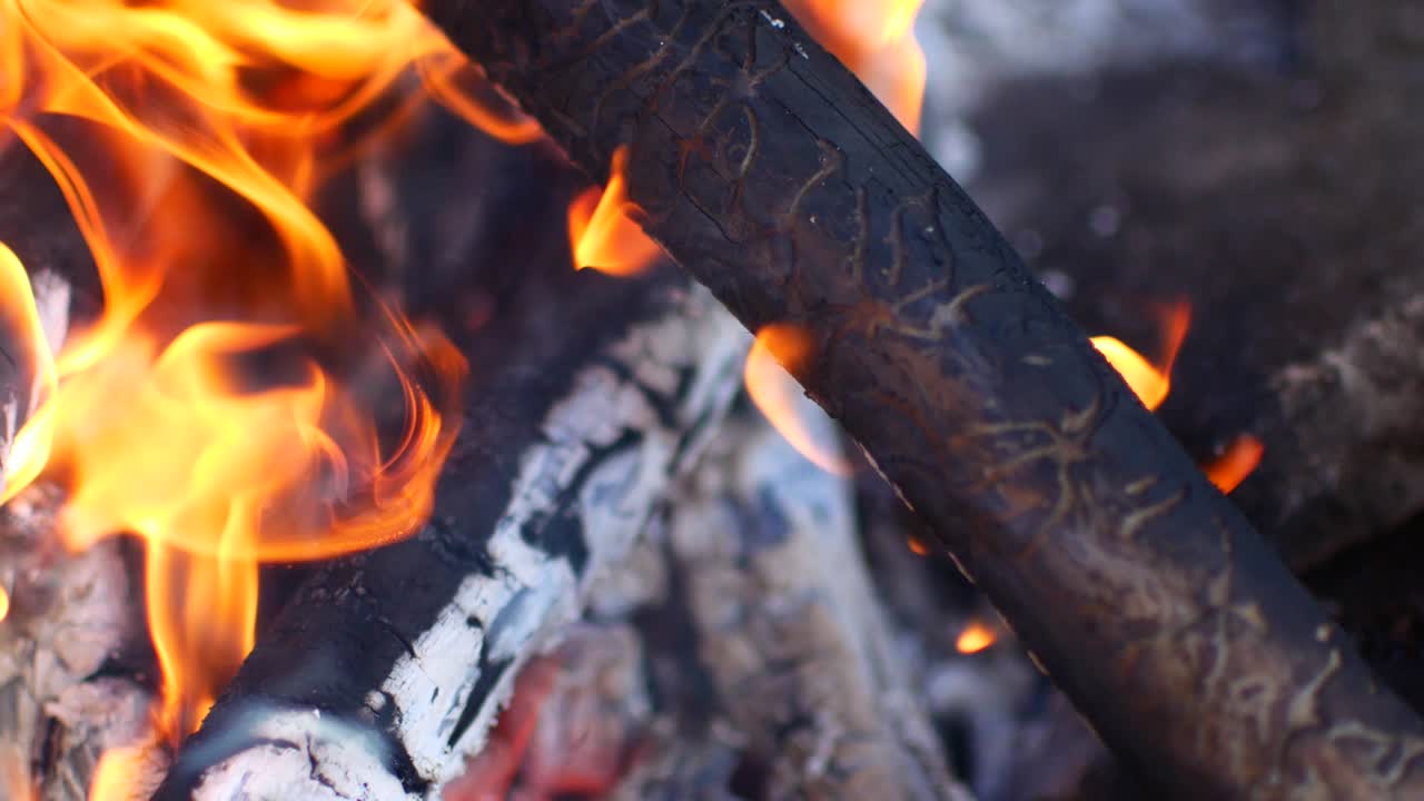 las ramas arden en el fuego