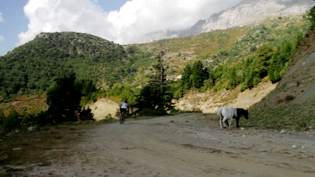 dos caballos salvajes cruzando un camino de tierra mientras un ciclista los pasa rápidamente para un maratón de bicicleta de montaña en tzoumerka en grecia