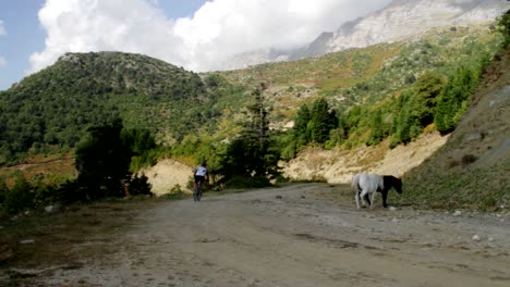 Dos-Caballos-Salvajes-Cruzando-Un-Camino-De-Tierra-Mientras-Un-Ciclista-Los-Pasa-Rápidamente-Para-Un-Maratón-De-Bicicleta-De-Montaña-En-Tzoumerka-En-Grecia