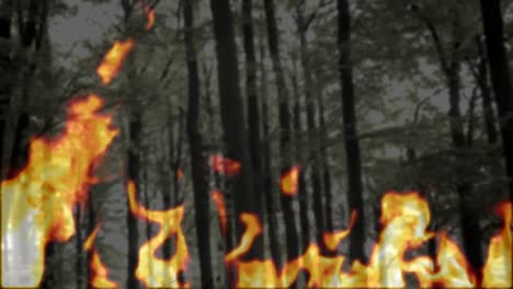 animation of fire flames over trees in forest