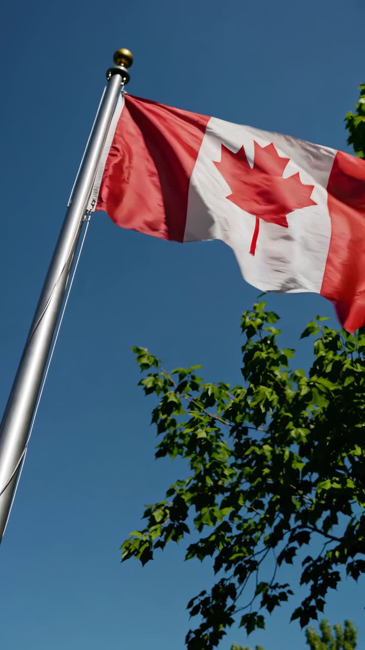 Foto dal basso di una bandiera canadese che sventola su un cielo azzurro terso, con foglie verdi