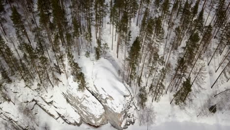 snowy forest and cliff landscape