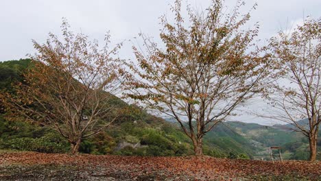hojas rojas caídas en otoño