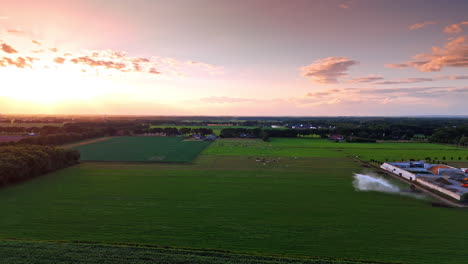 agricultural fields surrounded by woods. irrigation waters the plantations. sunset view of the countryside. aerial view