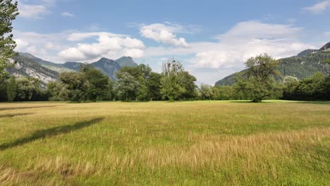 picturesque meadow with mountains and trees