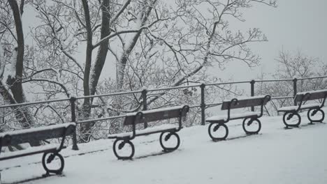 benches on the viewing platform in the park are covered with the blanket of light first snow