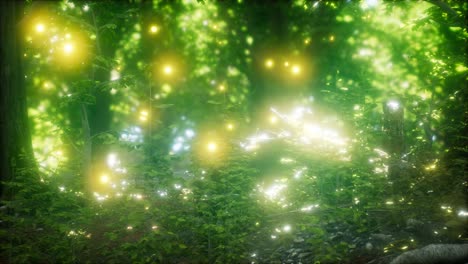 Firefly-Flying-in-the-Forest