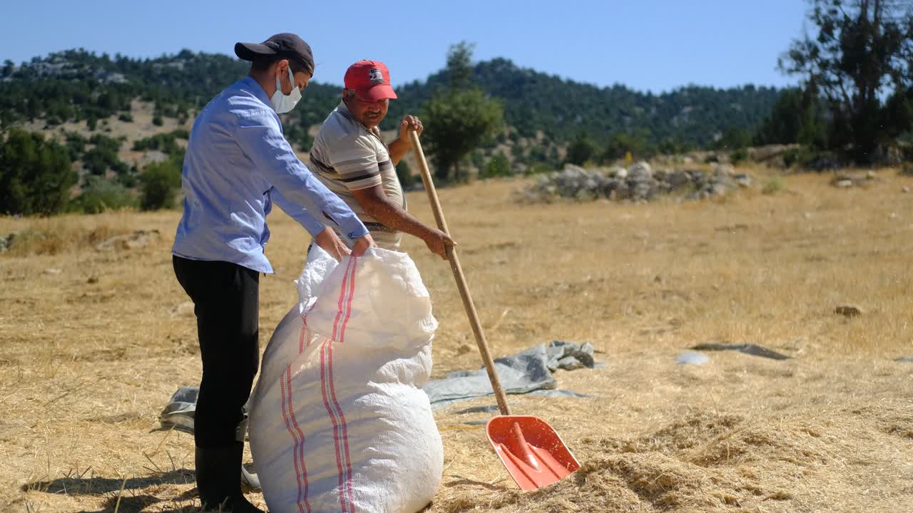 Villager stuffing straw in sack