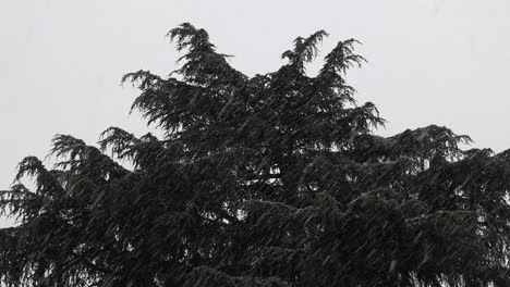 Snowfall-on-the-city-of-Bologna,-Italy