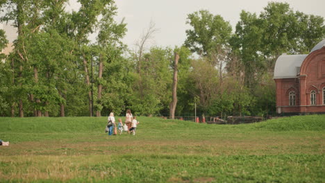long shot of park goers walking with kids across wide grassy recreational area, trees and old brick building in background, casual summer clothing, families enjoying outdoor stroll together