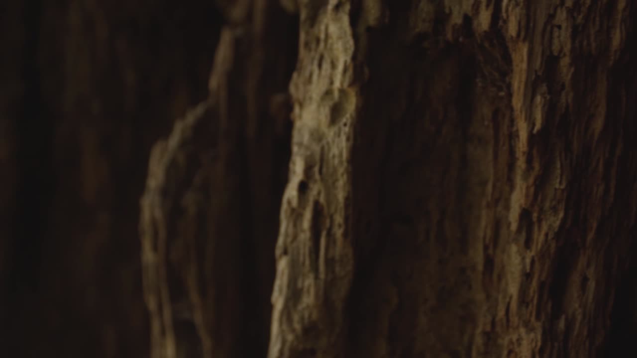 전환으로 사용되는 자연의 슬라이딩 움직임