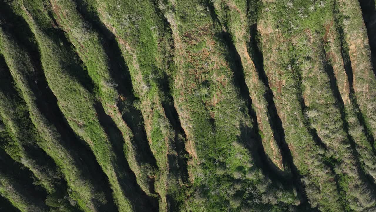 60 fps koko head crater video aéreo de drones panoramización revelando hawaii kai oahu hawaii