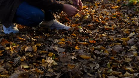 dry leaves man