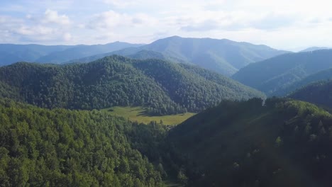 mountainous forest landscape