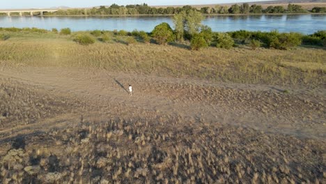 Verfolgen-Sie-Ein-Mädchen,-Das-In-Der-Wüste-In-Der-Nähe-Des-Columbia-River-Spazieren-Geht