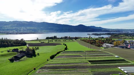 aerial flying over green agricultural landscape beside lake constance near bollingen, switzerland