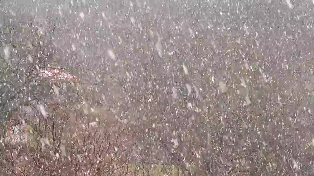 Sneeuwstorm in de winter
