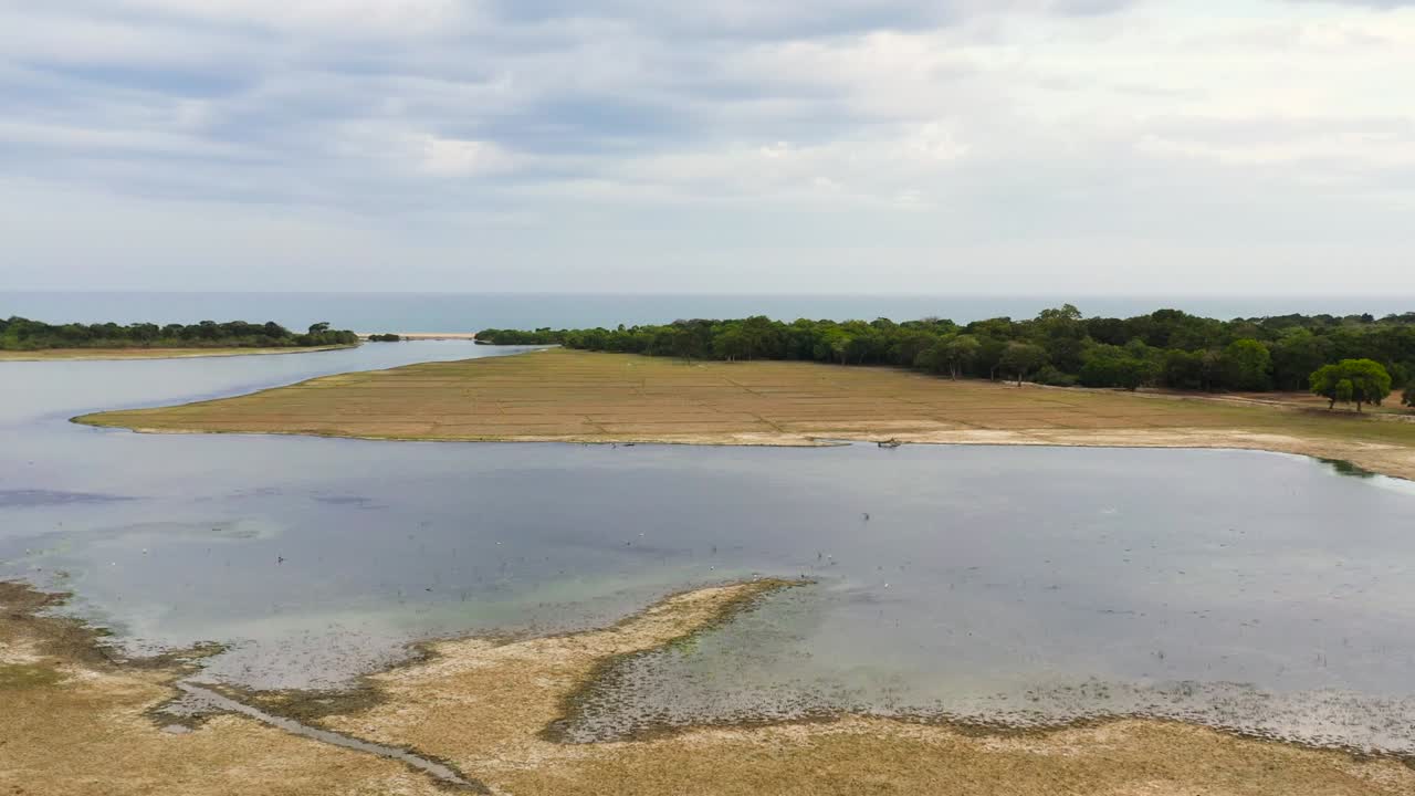 호수와 함께 열대 풍경 스리랑카