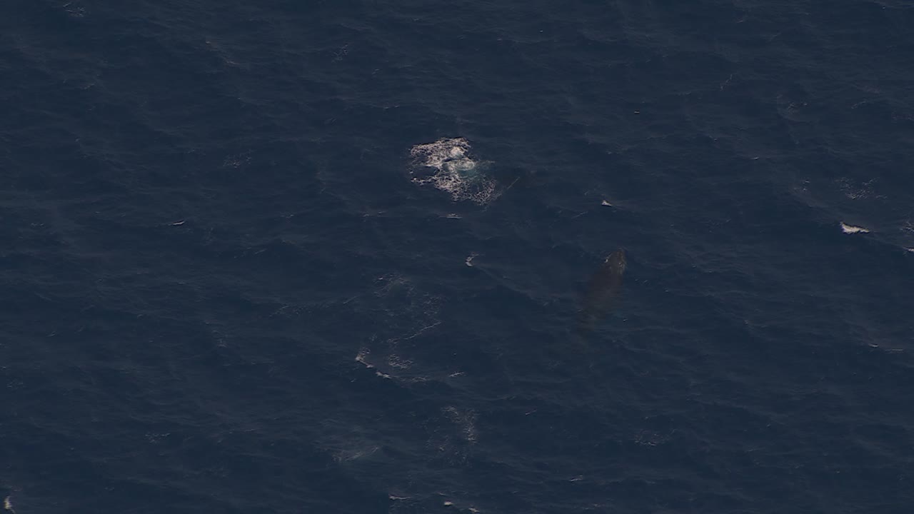 프랑스 해안 침범, 공중 드론 뷰