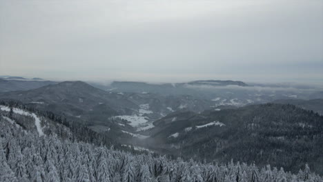 Enthüllen-Verschneite-Ländliche-Landschaft-Im-Schwarzwald,-Deutschland