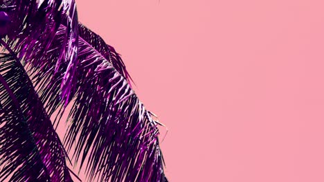 coconut palm leaves rustling in the tropical wind - leaves are purple against a pink sky for an otherworldly background