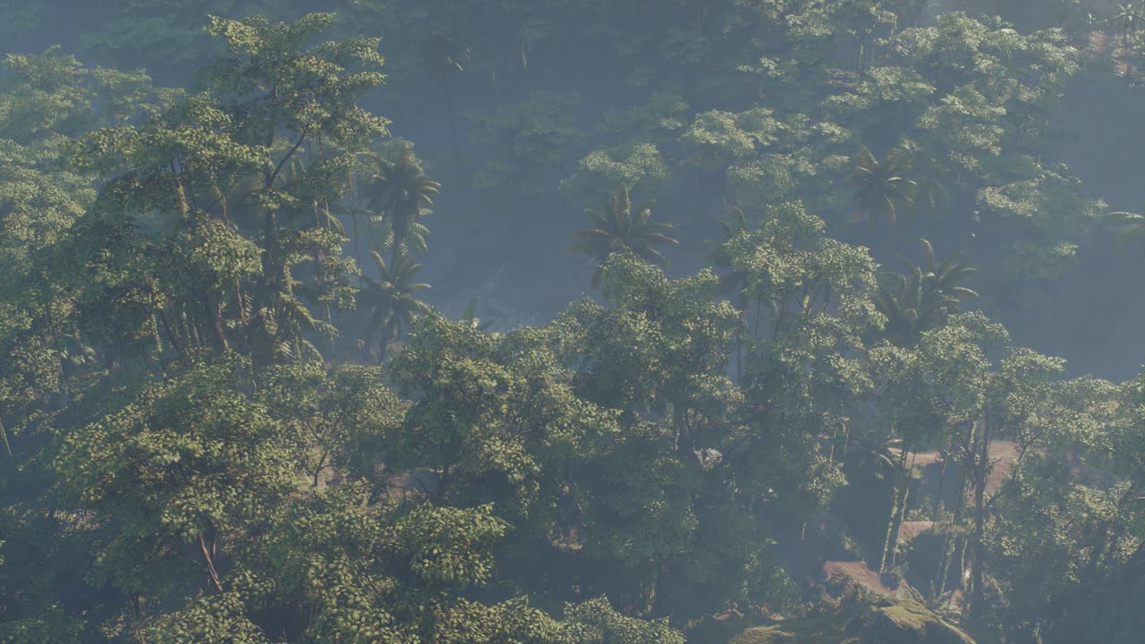 paisaje de selva tropical cubierto de niebla