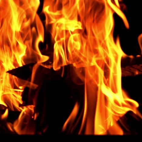 bonfire. burning fire in slow motion. woods fire. slow motion