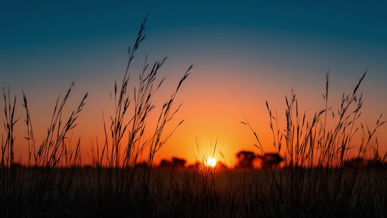A Serene Sunset Over a Calm Landscape, Framed by Silhouetted Grasses and Bathed in Warm Tones, Capturing Nature's Tranquil Beauty in the Evening Sky