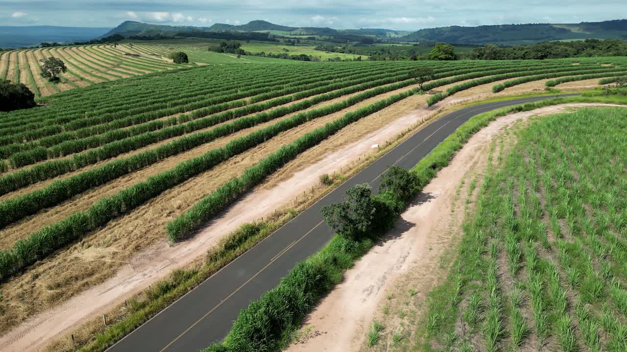 농촌 풍경 시골에서 국가 현장에서 농업 분야