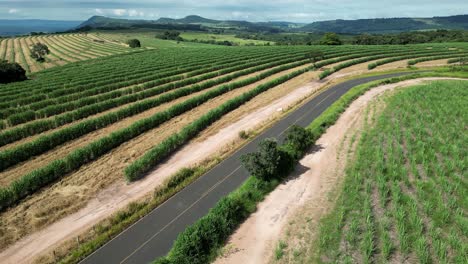 campo de la agricultura en la escena del país en el campo del paisaje rural