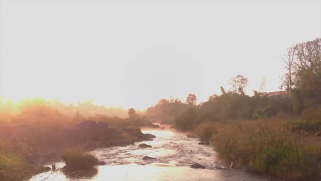 drone moving along a river in low angle with sunrays glittering on the water