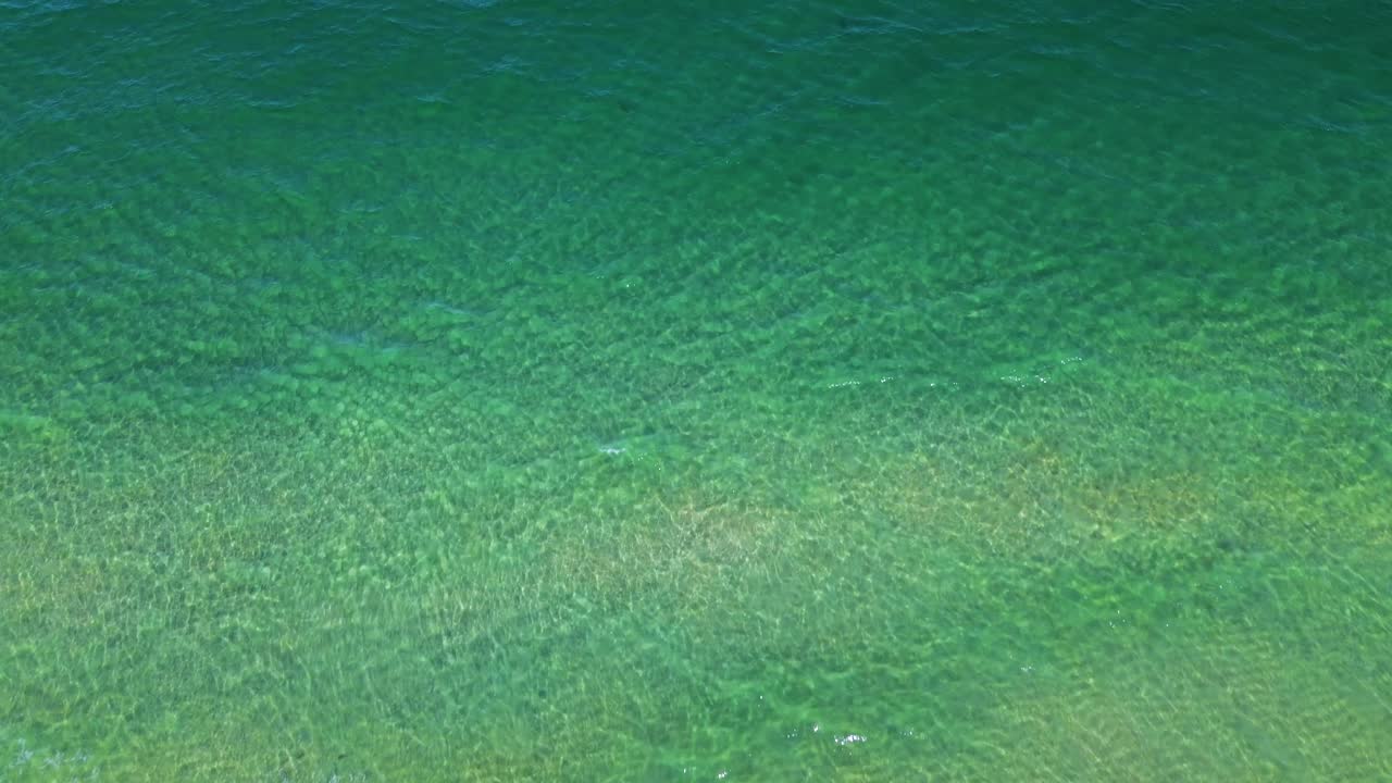 una escalofriante fotografía de drones de tiburones justo frente a la costa en el condado de palm beach, sur de florida.