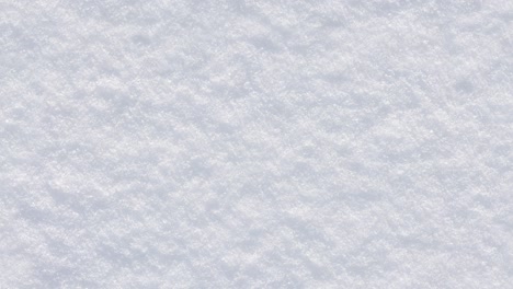 seamless loopable fresh snow background