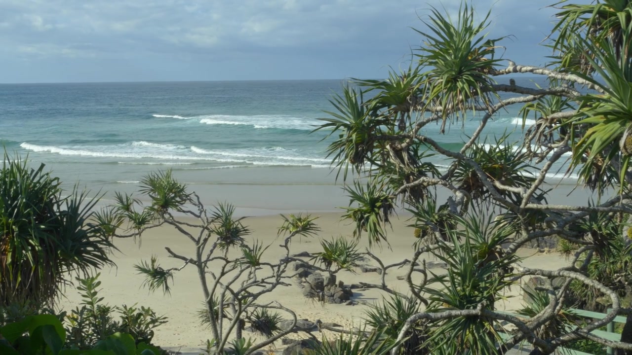 Tropical Seascape In Cabarita, New South Wales, Australia - Panning Shot