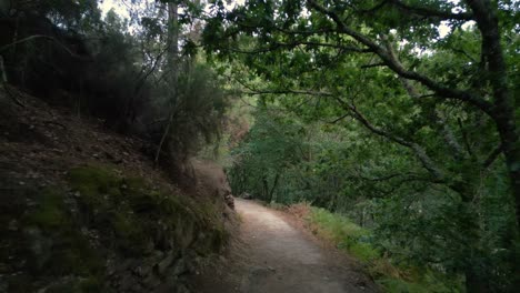 senderos en la caminata de montaña cerca de fervenza de augacaída en pantón, lugo, españa