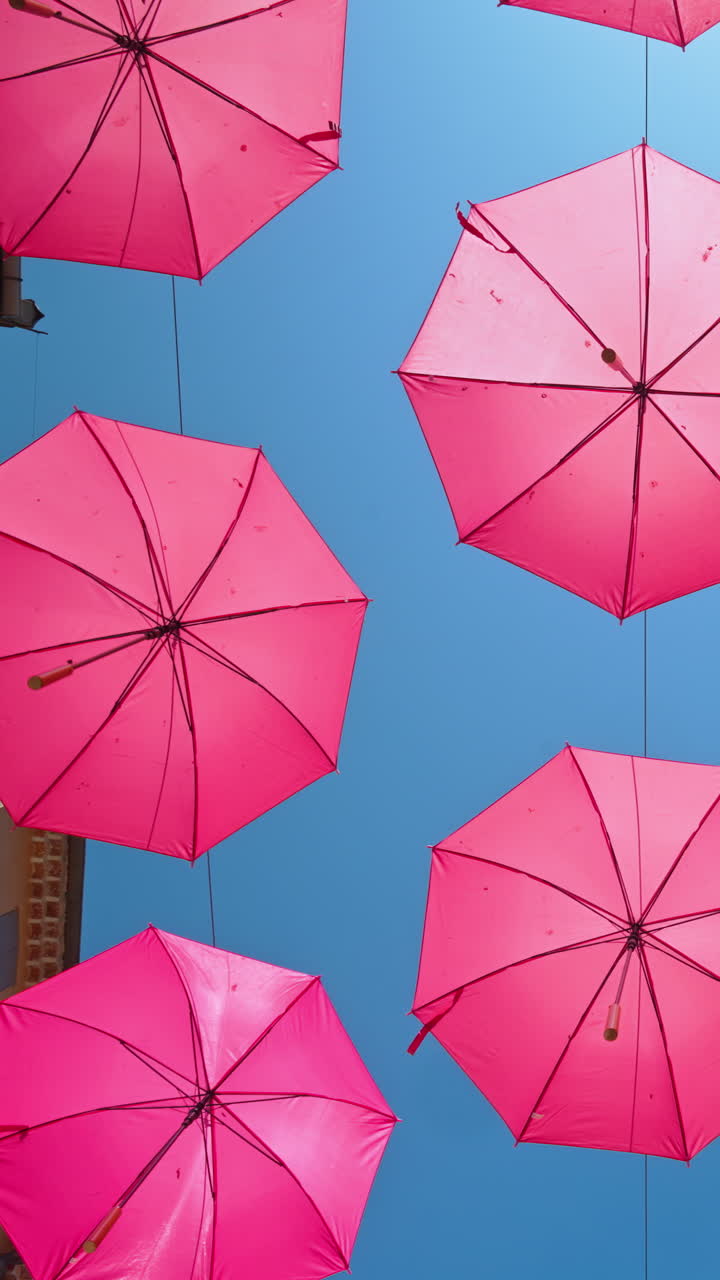 Rows of pink umbrellas above the streets of the old town in Grasse, France with the blue sky on the background. Vertical