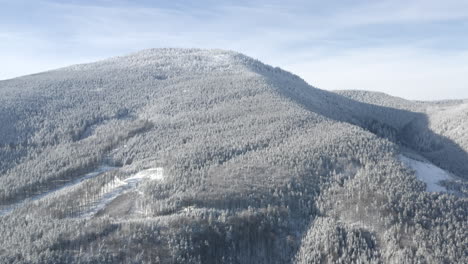 toma aérea de seguimiento de montaña alpina cubierta de árboles cubiertos de nieve durante el invierno