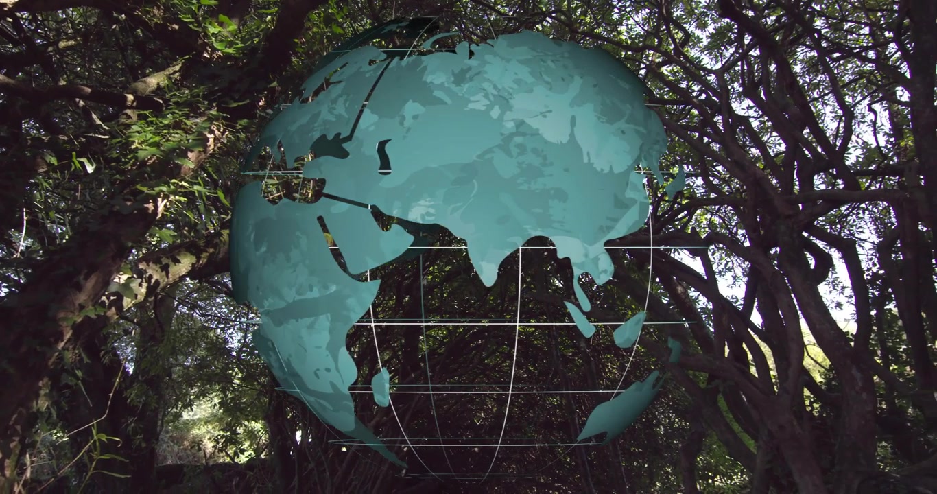 Mostrando un globo color verde acqua sui rami della foresta che ruota in senso orario mostrando l'Asia e poi tornando indietro.