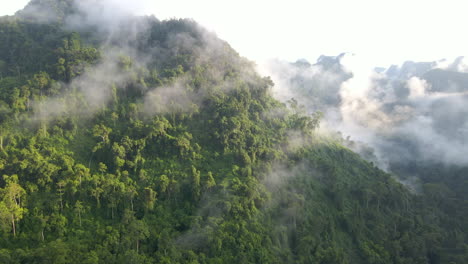 drone-moves-up-reveal-misty-mountain-and-jungle